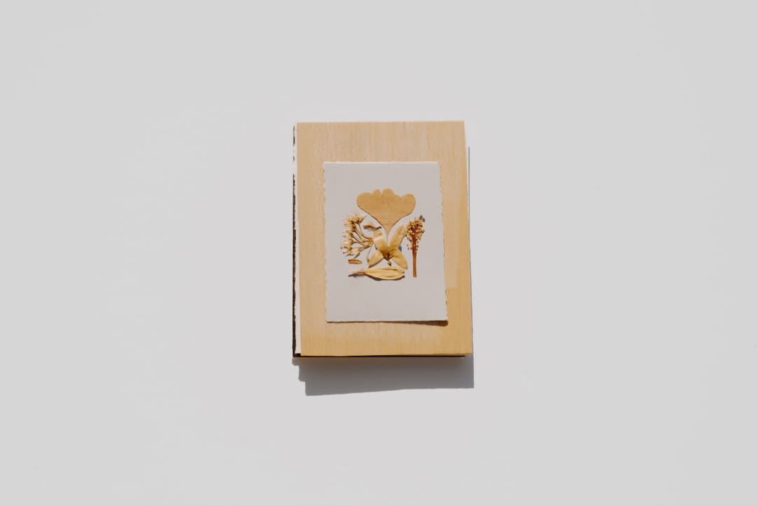 龙淑芬什么梗